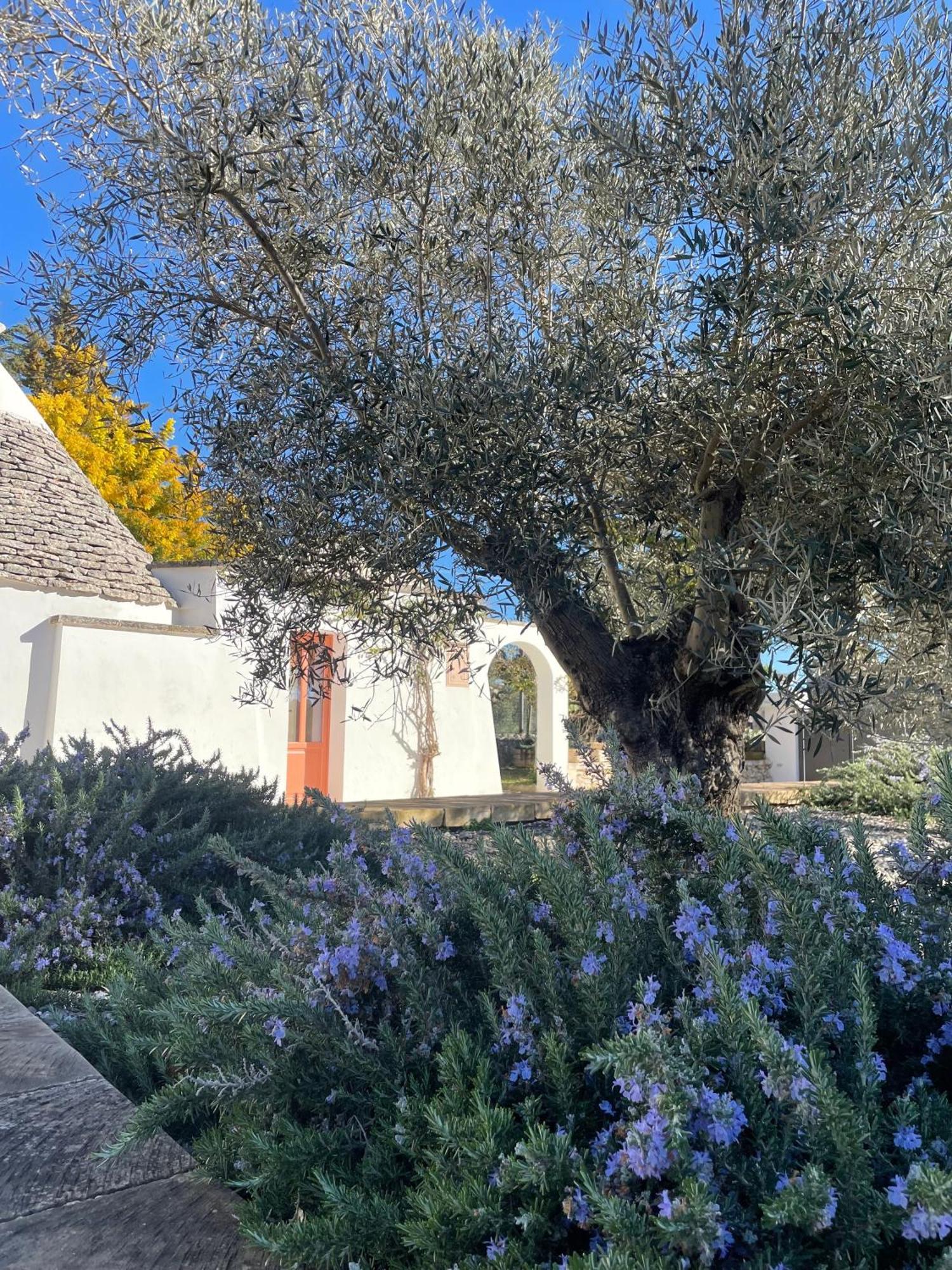Trullo Panna Fragola - Exclusive Four Bedroom Villa & Private Pool Martina Franca Eksteriør bilde